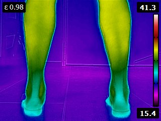 FLIR2745